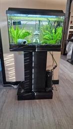 Aquarium 80l. Compleet, Dieren en Toebehoren, Vissen | Aquaria en Toebehoren, Ophalen, Gebruikt