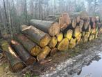 Beschikbaar: vracht onderstammen Amerikaanse Eik, Tuin en Terras, Haardhout, 6 m³ of meer, Ophalen of Verzenden