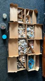 Partij schelpen, Hobby en Vrije tijd, Knutselen, Ophalen, Zo goed als nieuw