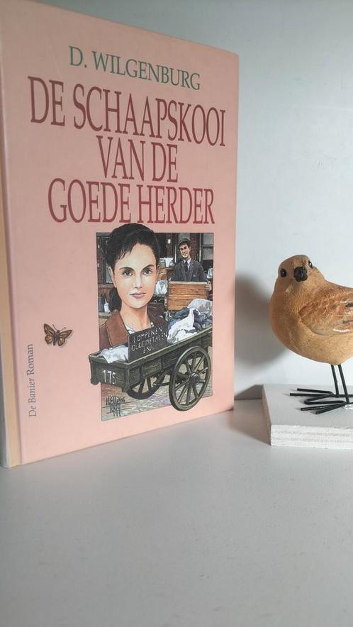 Wilgenburg, D.; De schaapskooi van de goede herder, Boeken, Romans, Gelezen, Nederland, Ophalen of Verzenden