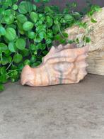 Draken schedel, Sunstone, Ophalen of Verzenden, Mineraal