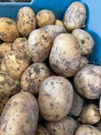 Frieslander aardappel consumptie friet vers, Diversen, Levensmiddelen, Ophalen of Verzenden