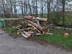 Stamhout ong. 10 kuub, 6 m³ of meer, Ophalen of Verzenden, Berkenhout, Stammen