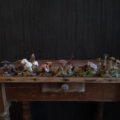 Prachtige botanische paddenstoelen, Antiek en Kunst, Curiosa en Brocante, Verzenden