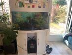Juwel 180  aquarium, Dieren en Toebehoren, Vissen | Aquaria en Toebehoren, Ophalen of Verzenden, Gebruikt, Plant(en), Steen of Hout
