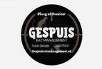 Professionele effectieve Ratten bestrijding, Muizen of Ratten