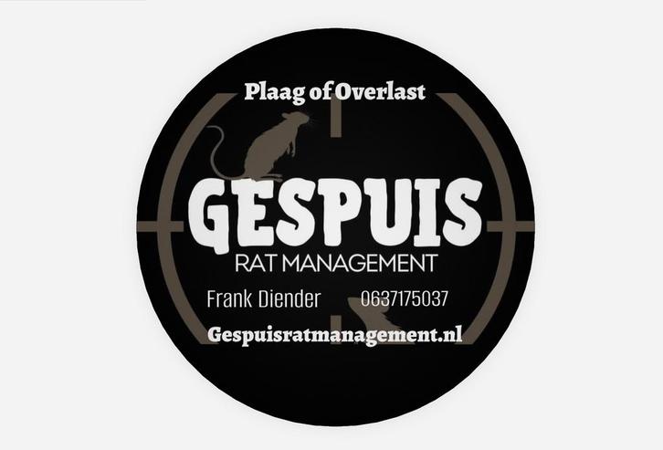 Professionele effectieve Ratten bestrijding, Diensten en Vakmensen, Ongediertebestrijding, Muizen of Ratten
