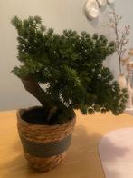 Kunst bonsai boompje in pot, Ophalen of Verzenden, In pot, Halfschaduw, Minder dan 100 cm