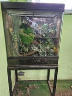 Exo terra terrarium 90 x 45 x 90. Vaste prijs 225 euro, Ophalen, Zo goed als nieuw, Terrarium of Paludarium