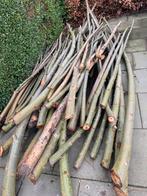 Wilgentakken, Tuin en Terras, Ophalen, Overige houtsoorten, Takken