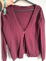 Hema Vest - Maat XL, Ophalen of Verzenden, Zo goed als nieuw, Maat 46/48 (XL) of groter