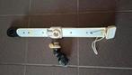 Mastvoet en rail, Watersport en Boten, Ophalen of Verzenden, Gebruikt, 300 cm of meer, Plank