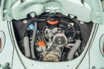 VW Kever Cabrio | Body-off gerestaureerd | 2 Eigenaren |1963, Achterwielaandrijving, Beige, Cabriolet, 35 pk