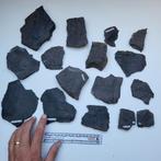 Carboon fossielen verzameling Graise sac Frankrijk, Verzamelen, Mineralen en Fossielen, Ophalen of Verzenden, Fossiel