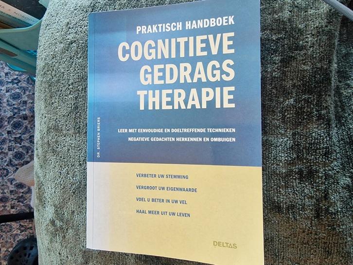 Stephen Briers - handboek cognitieve gedragstherapie, Boeken, Psychologie, Zo goed als nieuw, Ophalen of Verzenden