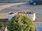Gratis zwarte grond - 3 kuub, Ophalen of Verzenden, Tuinaarde