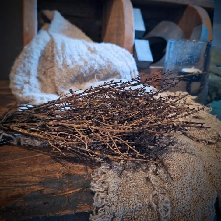 Countryfield Betula Takken Bundel - 42cm, Huis en Inrichting, Woonaccessoires | Droogbloemen, Nieuw, Ophalen of Verzenden