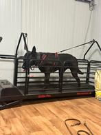 Dogrunner ortho pro loopband, Dieren en Toebehoren, Ophalen, Zo goed als nieuw