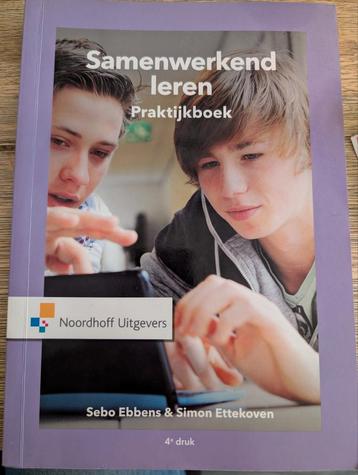 Sebo Ebbens - praktijkboek samenwerkend leren beschikbaar voor biedingen