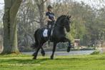 Kwaliteits FRIESE paarden en PRE's / Andalusiers