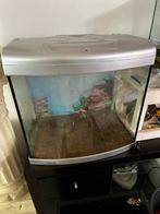 Aqurium 60 liter, Ophalen, Leeg aquarium