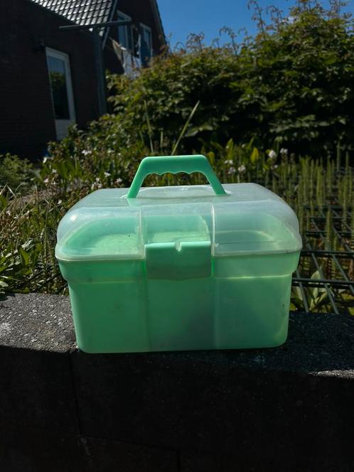 GRATIS Poetskist incl 3 borstels!, Dieren en Toebehoren, Paarden en Pony's | Verzorgingsproducten, Gebruikt, Ophalen