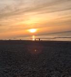 Landal gratis  tot 2027!!!