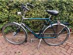 Gazelle Primeur herenfiets maat XL, Versnellingen, Ophalen of Verzenden, Zo goed als nieuw, 57 tot 61 cm
