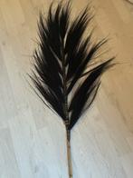 Decoratieve Veren - 3 Stuks, Ophalen, Zo goed als nieuw, Binnen