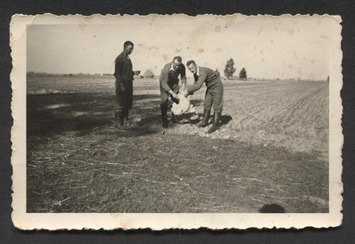 WOII foto : Duitse soldaten slachten kip, Verzamelen, Militaria | Tweede Wereldoorlog, Landmacht, Foto of Poster, Duitsland, Verzenden