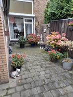 ROLLUIK ELECTRISCH, Huis en Inrichting, Verzenden, Gebruikt