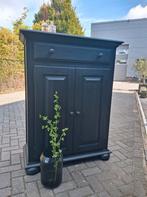 Meidenkast spekkast kledingkast schoenenkast, Ophalen