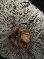 Glazen Taartschaal met Deksel, Schaal, Rond, Ophalen of Verzenden, Glas