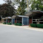 Boogstal voor Kalveren – Groepshut – Degelijk & Betaalbaar, Dieren en Toebehoren, Overige Dieren-accessoires, Verzenden, Nieuw