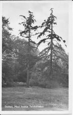Delden   Mooi hoekje Twickelosebos, Verzamelen, Ansichtkaarten | Nederland, Ophalen of Verzenden, 1940 tot 1960, Ongelopen, Overijssel