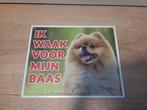 Ik waak voor mijn baas met pomeriaan, Dieren en Toebehoren, Ophalen of Verzenden