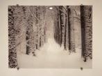 Sneeuwlandschap op plexiglas 80x60, Huis en Inrichting, Ophalen, Zo goed als nieuw, 50 tot 75 cm, Foto of Poster