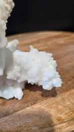 Prachtig stuk ramshoorn seleniet, Ophalen of Verzenden