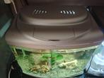Aquariums  SuperFish Panorama Aquarium 60 liter, Ophalen, Gebruikt, Leeg aquarium