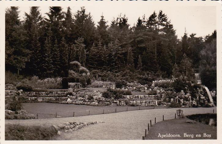 00099 Apeldoorn - Berg en Bos - 1958, Verzamelen, Ansichtkaarten | Nederland, Ongelopen, Gelderland, 1940 tot 1960, Verzenden