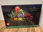 Lego Bloemen 10309 Vetplanten nieuw, Lego, Lego, Lego, Nieuw