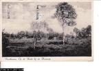 Ansichtkaart	Voorthuizen	Op de heide bij de Houtsnip, Verzenden, 1940 tot 1960, Gelopen, Gelderland