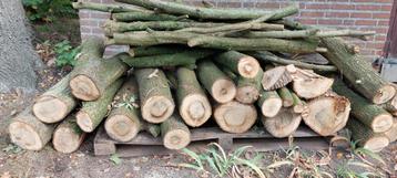 Ongveer 1 kuub eiken haardhout beschikbaar voor biedingen