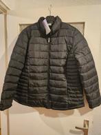 Zwarte gewatteerde jas, Kleding | Dames, Grote Maten, Zwart, Nieuw, Ophalen of Verzenden, Jas of Mantel