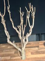Decoratie tak, Ophalen of Verzenden, Zo goed als nieuw