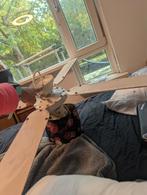 Vintage Plafondventilator met Lamp, Ophalen of Verzenden