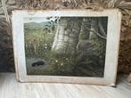 Oude schoolplaat, Antiek en Kunst, Antiek | Schoolplaten, Ophalen, Natuur en Biologie