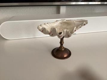 schelp op koperen voetje beschikbaar voor biedingen