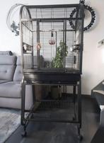 Vogelkooi Strong Nora M, Dieren en Toebehoren, Ophalen of Verzenden, Zo goed als nieuw, Strong, Metaal