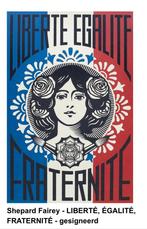Shepard Fairey - LIBERTÉ, ÉGALITÉ, FRATERNITÉ - gesnigeerd, Antiek en Kunst, Kunst | Litho's en Zeefdrukken, Ophalen